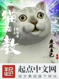 猫猫教必将一统瓦洛兰！